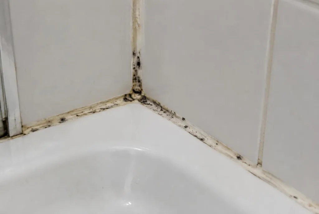 Kitbedrijf Bleiswijk – beschimmelde kitranden